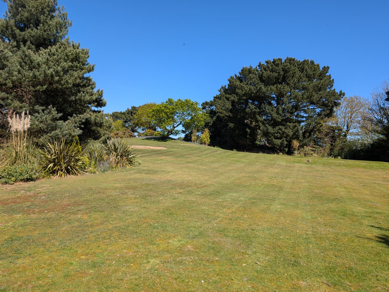 Garden Maintenance in Aylmerton